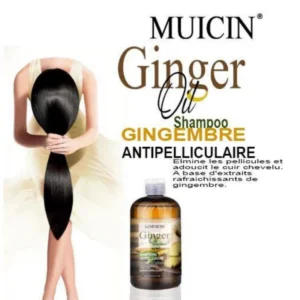 GINGER OIL SHAMPOO GINGEMBRE FOR ANTI-HAIR FALL & DANDRUFF CONTROL - DUAL ACTION SCALP CARE